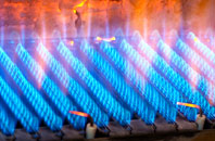 Ardanaiseig gas fired boilers